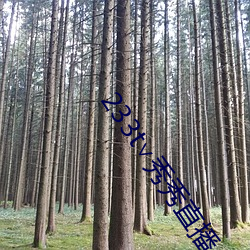 233t∨秀秀直播