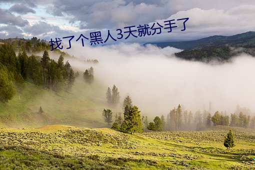 找了个黑人3天就分手了