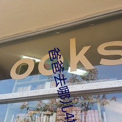 爸爸去哪兒4期