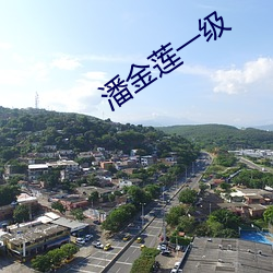 潘金莲一级