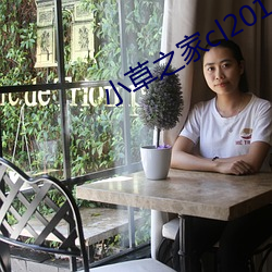 小草之家cl2017