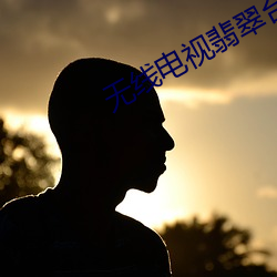 无线电视翡翠(cuì)台