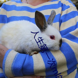 人(r��n)生第一(y��)次ml的详细描述