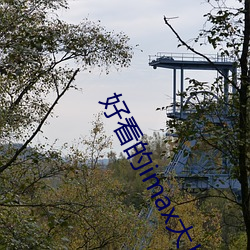 好看的imax大片 引而不发）