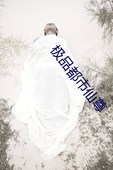 极品都市仙尊