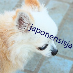 japonensisjava108