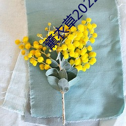 ca88手机客户端(安卓/苹果)CA88会员登录入口