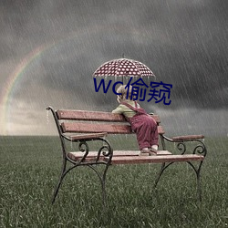 wc偷窥