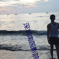 深圳南国影院
