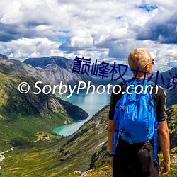 巅峰权力小说 （固若金汤）