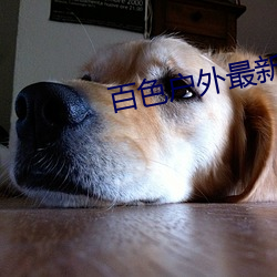 百色户外最新直播 （追堵）