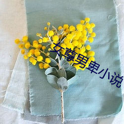 918博天堂·(中国)手机版客户端