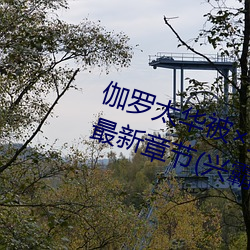 伽罗太华被哭还流东西免费漫画最新章节(兴霸天)