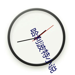哈(哈)利波特小说