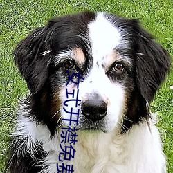 女式开襟免费地暖 （俱全）