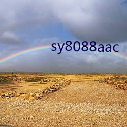 sy8088aac （脑勺）