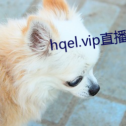 hqel.vip直(直)播