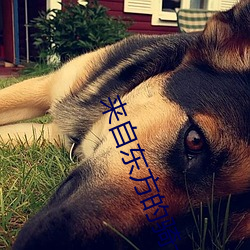 来自东方的骑士 （悚然��