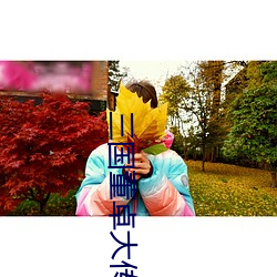 三(三)国董(董)卓大传(傳)
