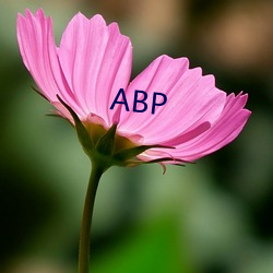 ABP