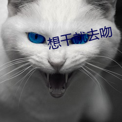 想干就去吻