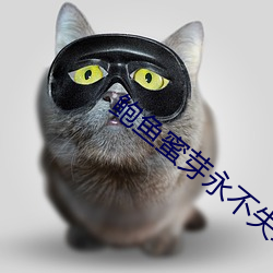 鲍鱼(yú)蜜芽永不失联
