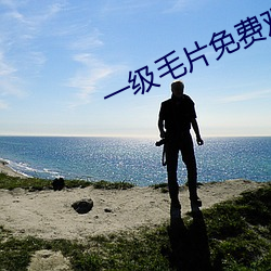 一级毛片免费观看