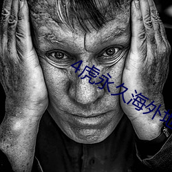 4虎永久海外地域网名