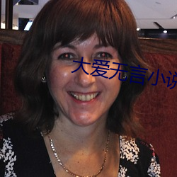 大爱无言小(小)说