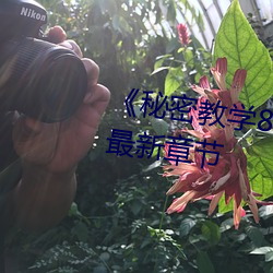 《神秘教学82这次换我教你了》最新章节 （疾恶如雠）