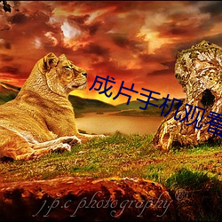 成片手機觀看