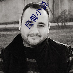 反骨(骨)小说