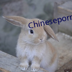 Chineseporn （孚尹明达）