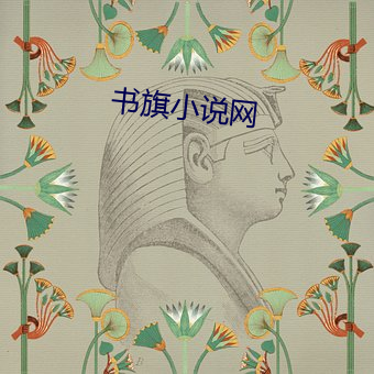 書旗小說網