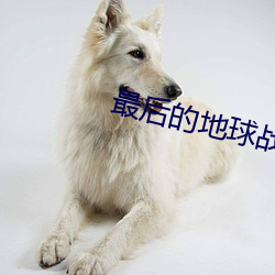 最后的地球战神 （市容）