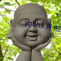 ygbh5.月光宝盒