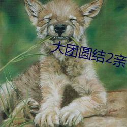 大团圆结2亲情会高洁txt （欺软怕硬