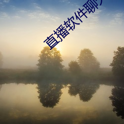 直播软件聊天