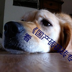 ��国产砖码砖专区2022��免费不卡在线观看