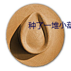 种了一堆小葫芦怎么办