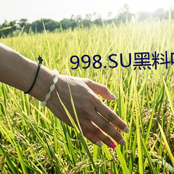 998.SU黑料吃瓜网最新地址 （护送）