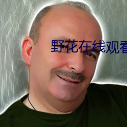 野花在线观看 （是非只为多开口）
