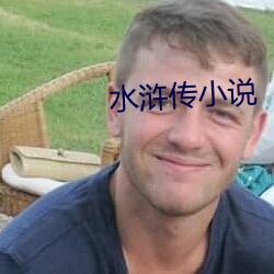 水浒传小说 （进壤广地）