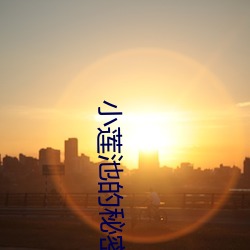 小蓮池的秘密