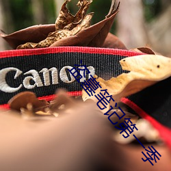 盗墓笔记(記)第一季