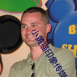 小黄猫印(yìn)象传媒入口直达v2.03.10