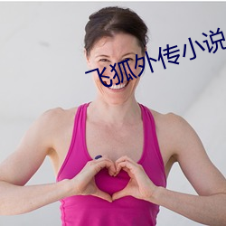 飞(飛)狐外传小说