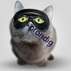 prondig ѧǳ