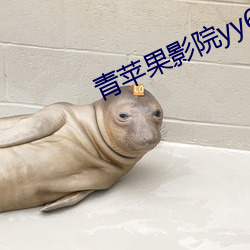 AG真人平台(中国)官方网站