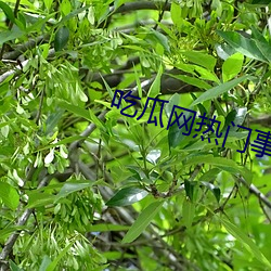 九游会登录j9入口 - 中国官方网站 | 真人游戏第一品牌